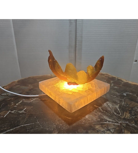 Natural Weathered Gobi Agate Spiral Pattern W/peach Selenite Base&Led Light