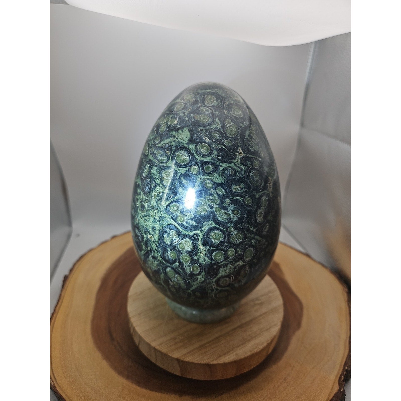 9.1LB Natural Kambaba Jasper Quartz Crystal egg Mineral specimen Healing