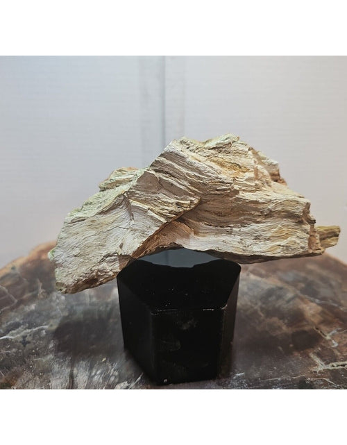 Load image into Gallery viewer, 1.06lbs Texas Petrified Wood Rough
