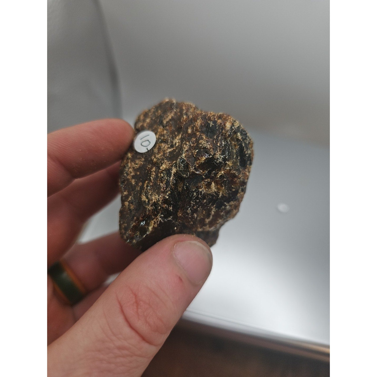 Amber Stone 2pcs