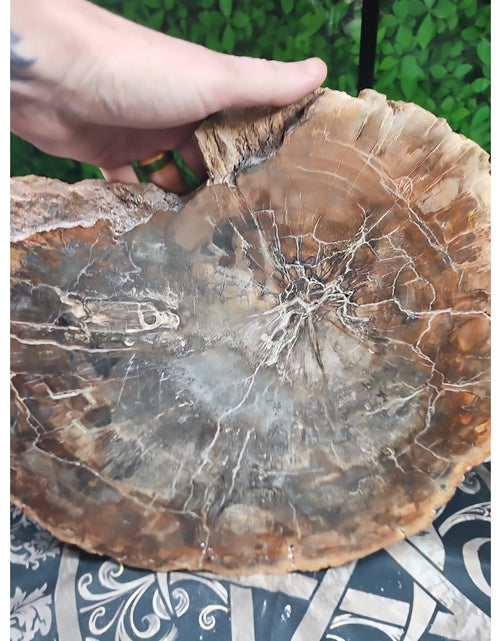 Load image into Gallery viewer, 27.3LB TOP Natural fossil wood Quartz carved Crystal mineral Specimen healing
