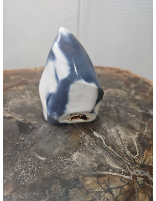 Load image into Gallery viewer, Jasper Ocean Whale Stone 332g
