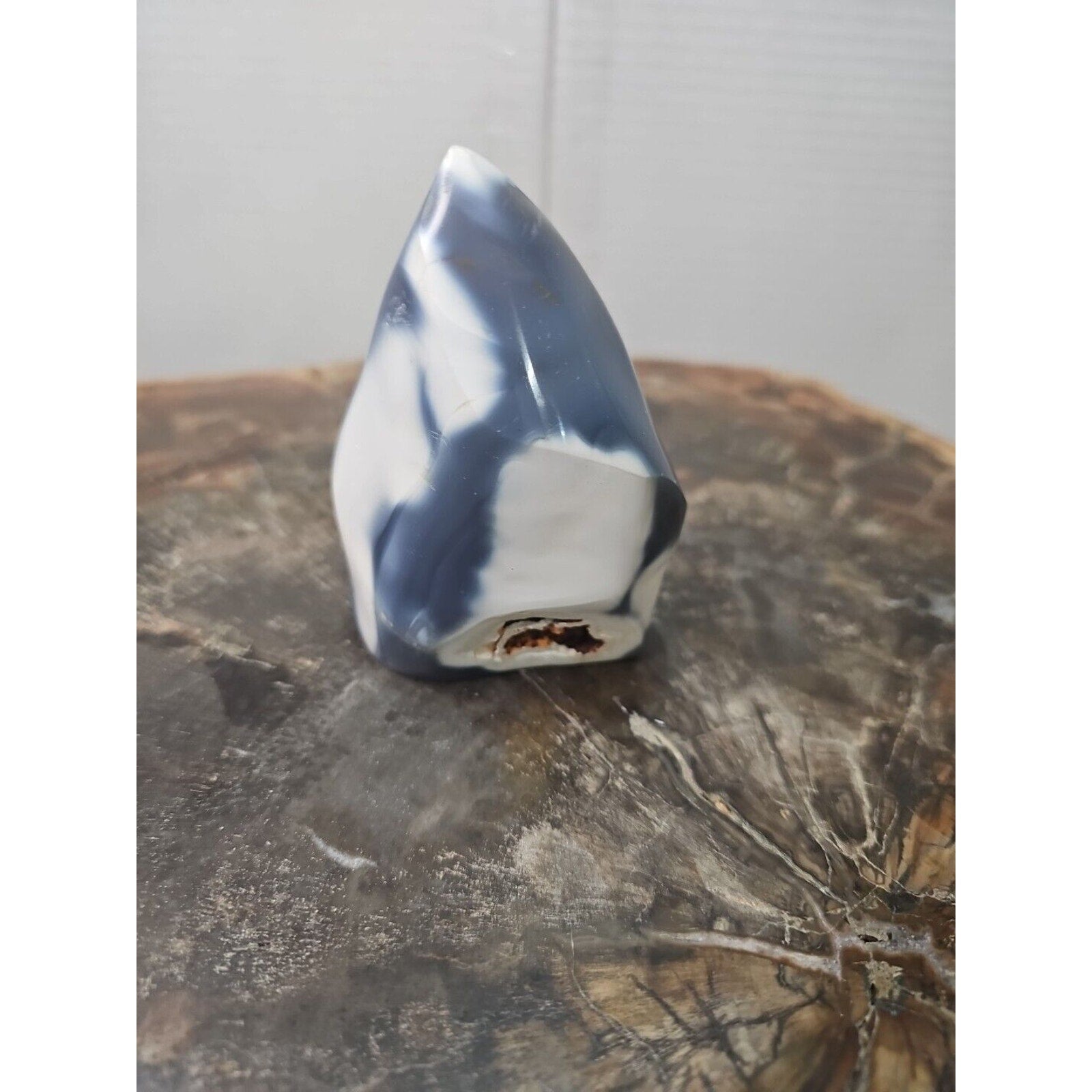 Jasper Ocean Whale Stone 332g