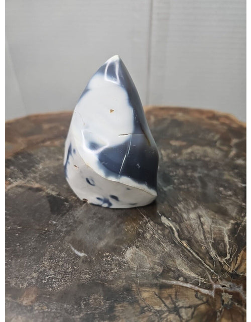 Load image into Gallery viewer, Jasper Ocean Whale Stone 332g
