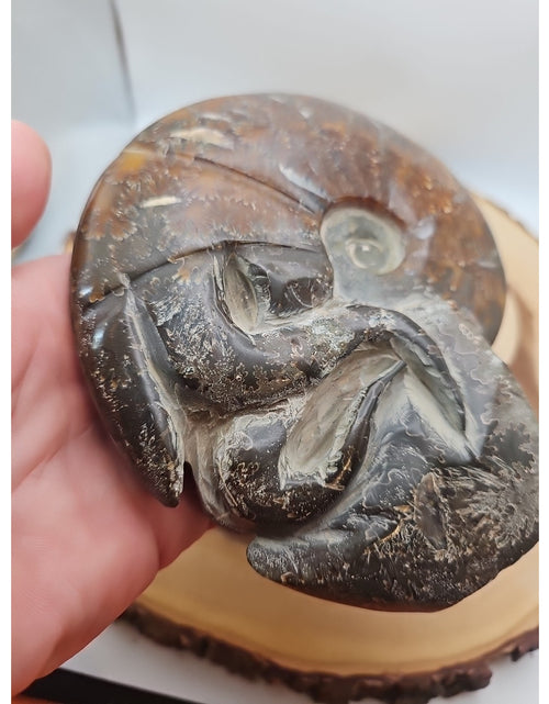 Load image into Gallery viewer, 1.82LB Rare! Natural Tentacle Ammonite FossilSpecimen Shell Healing Madagascar
