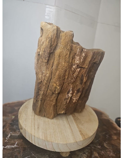 Load image into Gallery viewer, ❤️‍🔥Texas Petrified Wood! Raw Cool Details W/Stand Great Display
