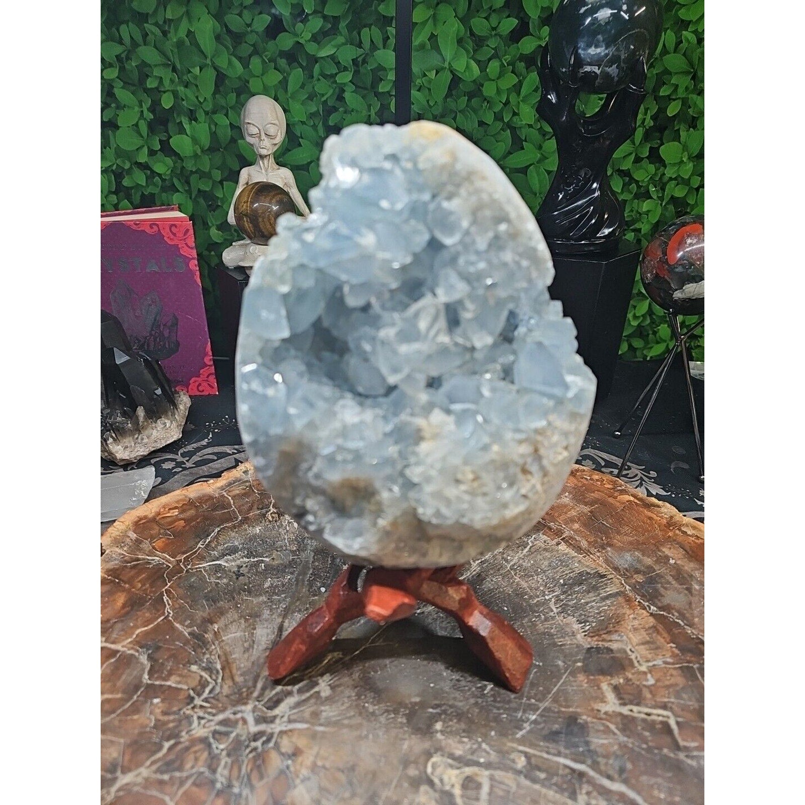 10.45LB Natural Beautiful Blue Celestite Crystal Geode W/ Stand