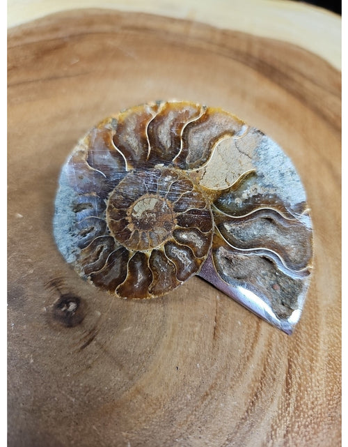 Load image into Gallery viewer, Ammonite Fossil Small 52g
