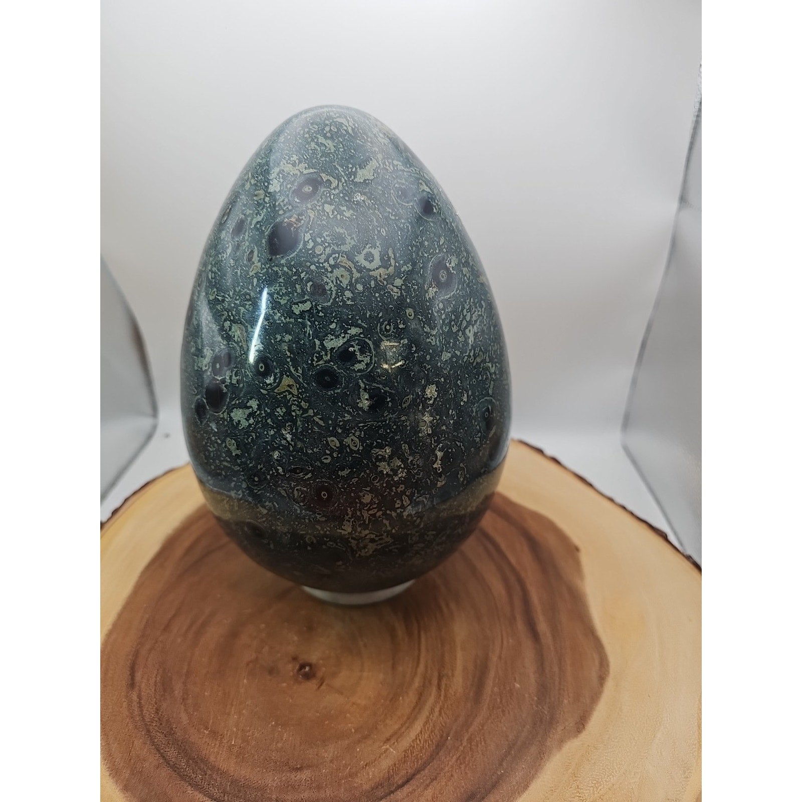 15.2LB Natural Kambaba Jasper Quartz Crystal With Jade Ring Stand