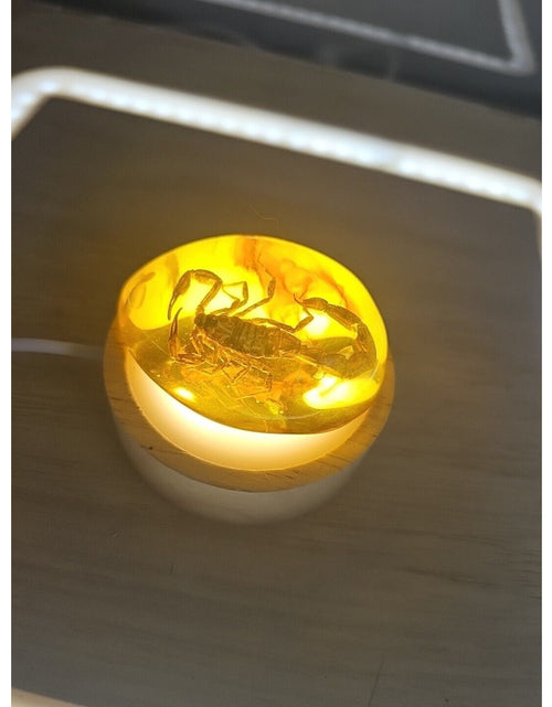 Load image into Gallery viewer, 1 Ea Beautiful Amber Scorpions Fossil Manual Polishing Lucky Ornament
