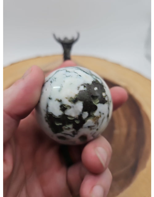 Load image into Gallery viewer, Tree Agate Sphere .45lb 53mm W/Dragon Stand
