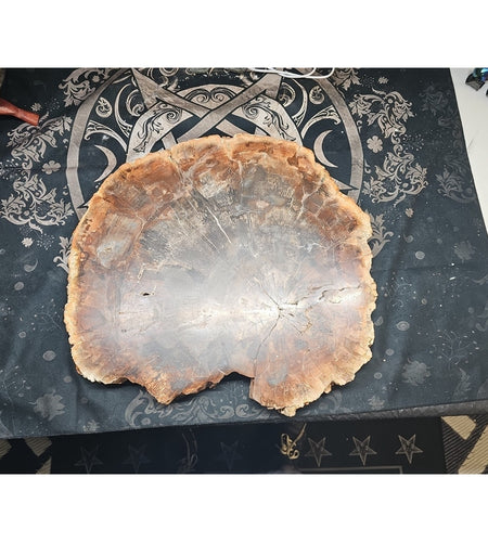 27.3LB TOP Natural fossil wood Quartz carved Crystal mineral Specimen healing