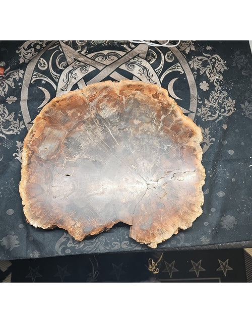 Load image into Gallery viewer, 27.3LB TOP Natural fossil wood Quartz carved Crystal mineral Specimen healing
