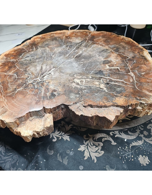 Load image into Gallery viewer, 27.3LB TOP Natural fossil wood Quartz carved Crystal mineral Specimen healing
