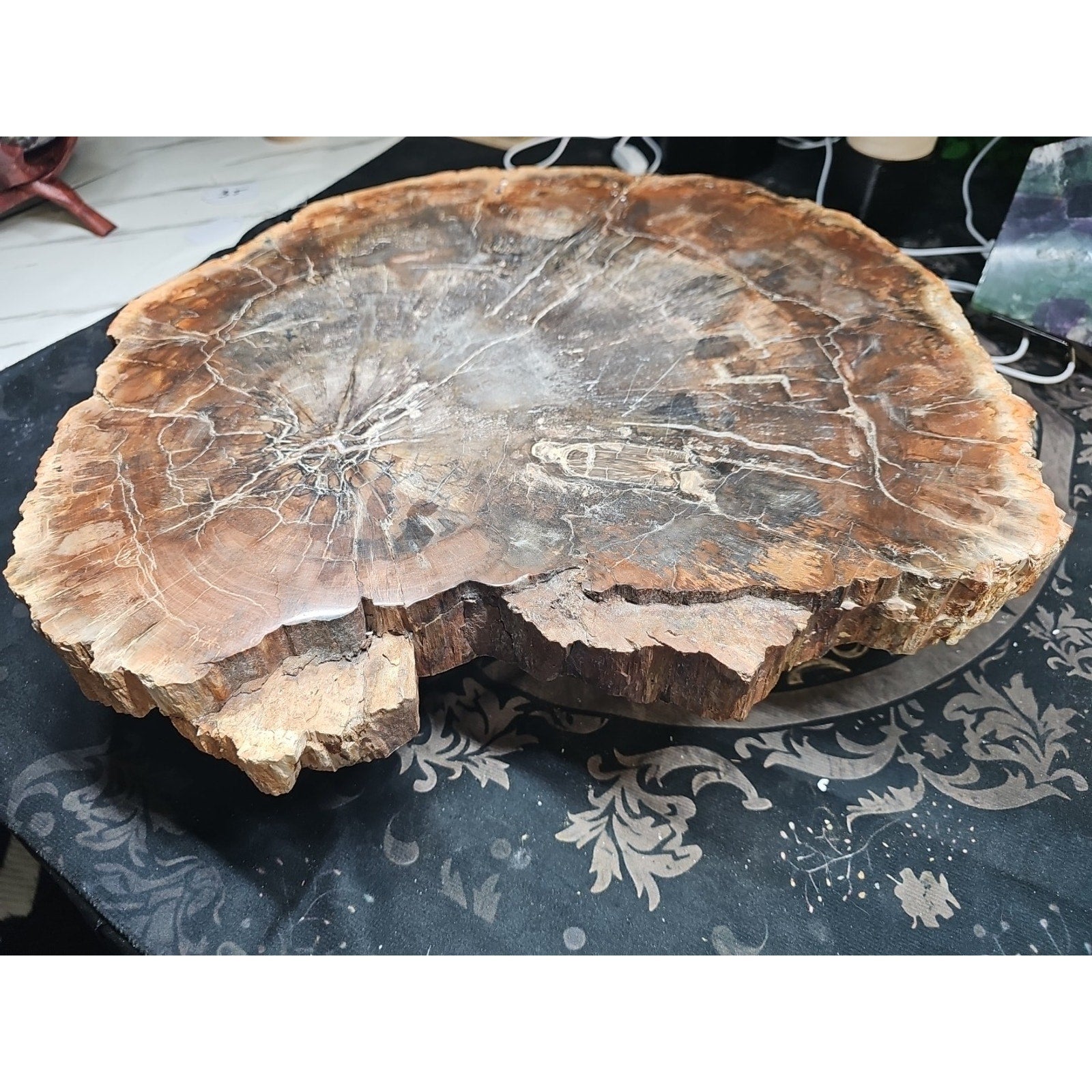 27.3LB TOP Natural fossil wood Quartz carved Crystal mineral Specimen healing