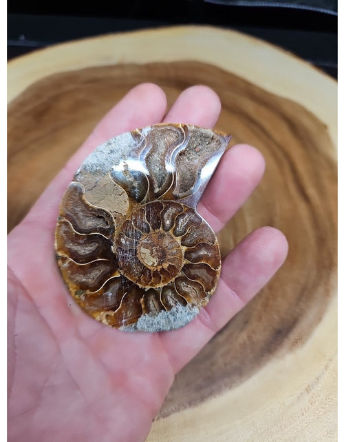 Load image into Gallery viewer, Ammonite Fossil Small 52g

