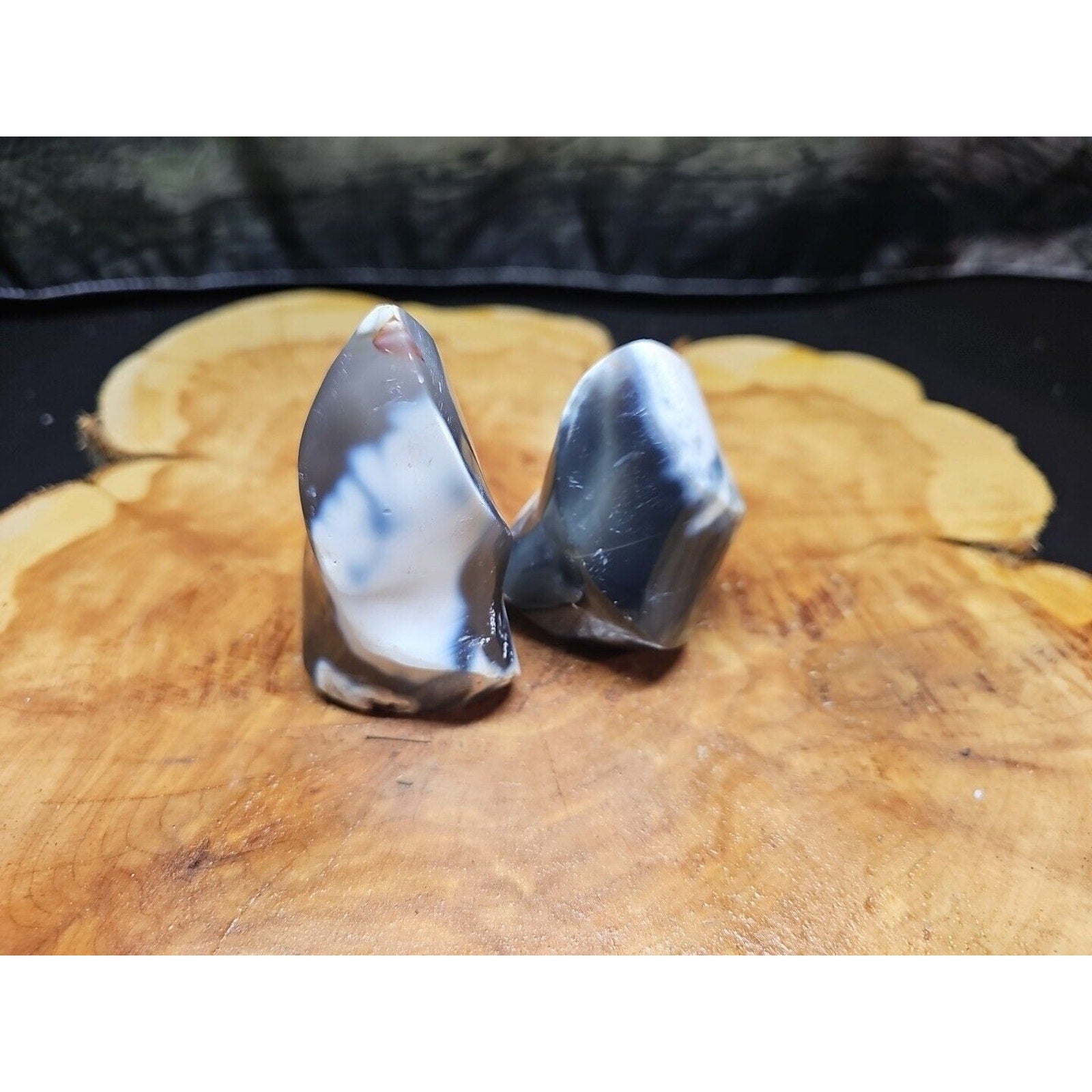 2Pcs Natural Orca Agate Killer Whale Carnelian Crystal Flame Point Healing