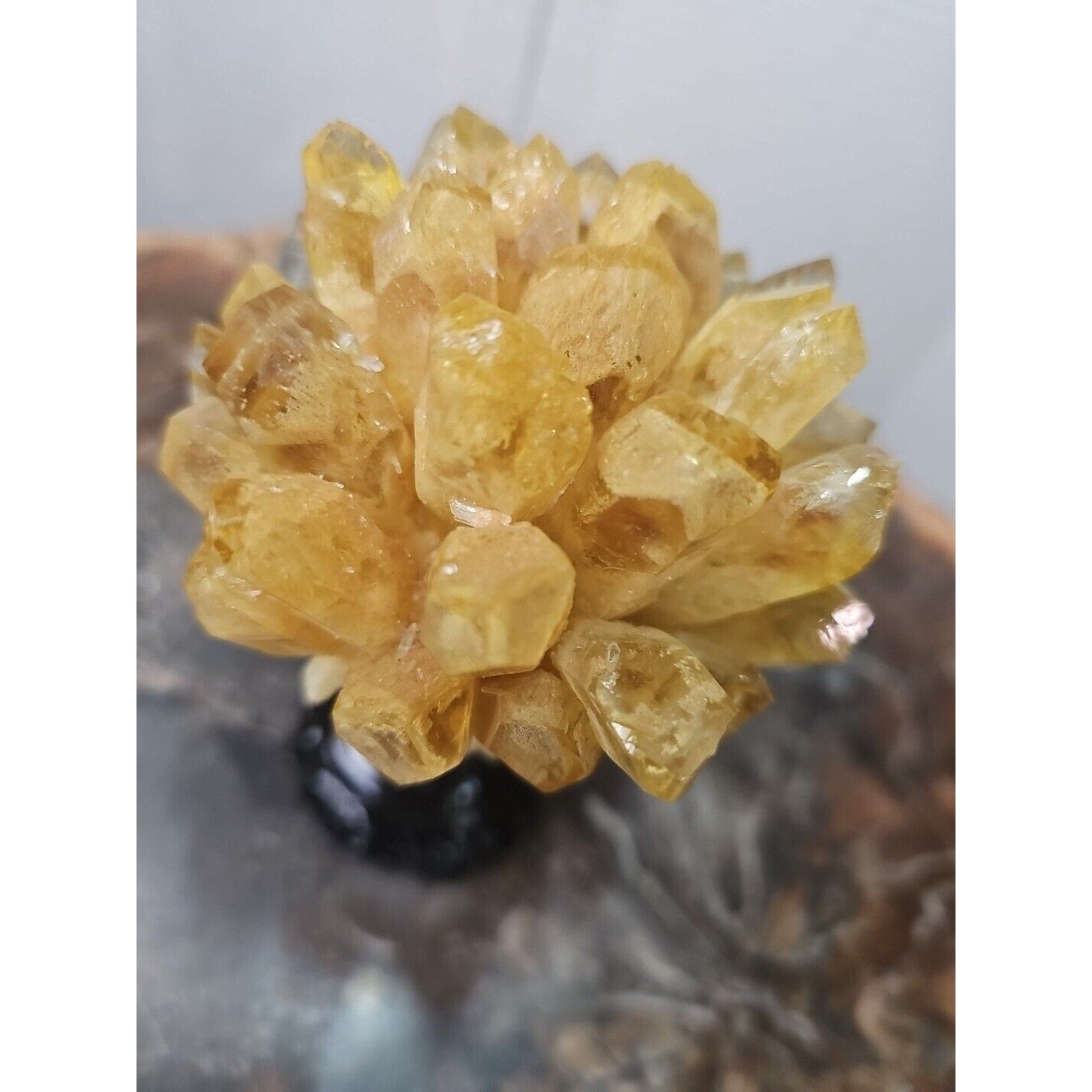 1.12LB Yellow Phantom Quartz Crystal Cluster Mineral Specimen W/Stand