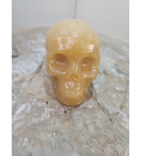 1.48 1Pcs Natural Jasper Calcite Skull Crystal Carving Stones Healing