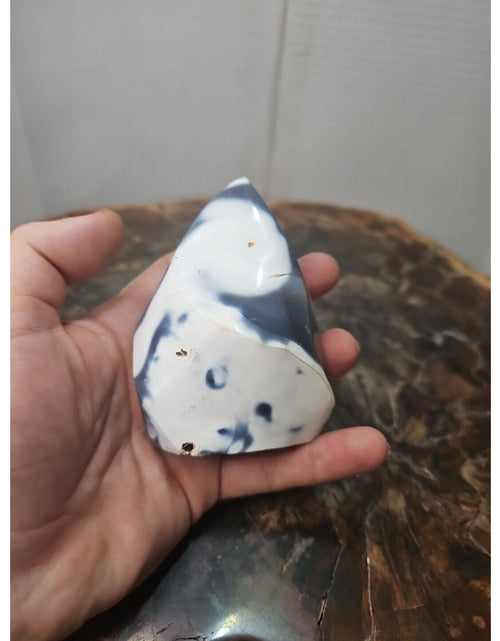 Load image into Gallery viewer, Jasper Ocean Whale Stone 332g
