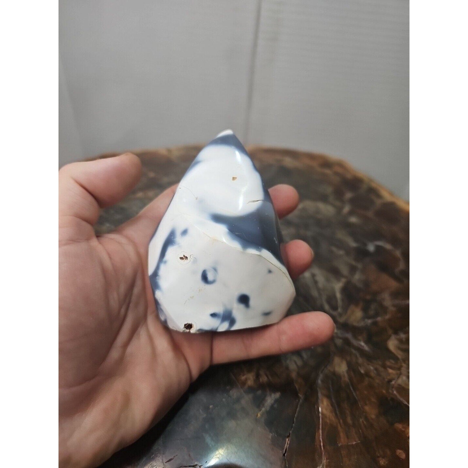 Jasper Ocean Whale Stone 332g