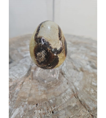 9.0oz Natural Septarian Dragon quartz Crystal egg Mineral Specimen W/Stand