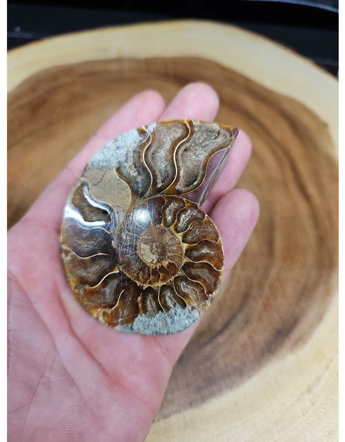 Load image into Gallery viewer, Ammonite Fossil Small 52g
