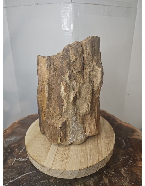 Load image into Gallery viewer, ❤️‍🔥Texas Petrified Wood! Raw Cool Details W/Stand Great Display
