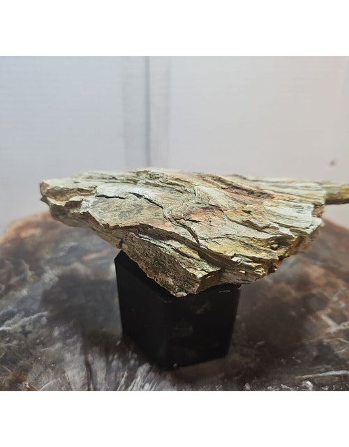 Load image into Gallery viewer, 1.06lbs Texas Petrified Wood Rough
