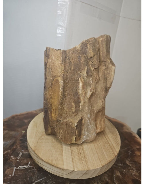 Load image into Gallery viewer, ❤️‍🔥Texas Petrified Wood! Raw Cool Details W/Stand Great Display
