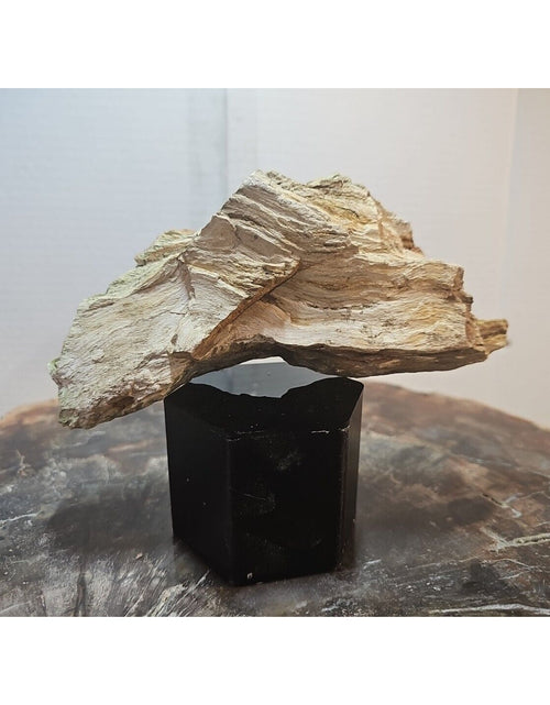 Load image into Gallery viewer, 1.06lbs Texas Petrified Wood Rough
