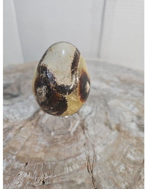 Load image into Gallery viewer, 9.0oz Natural Septarian Dragon quartz Crystal egg Mineral Specimen W/Stand
