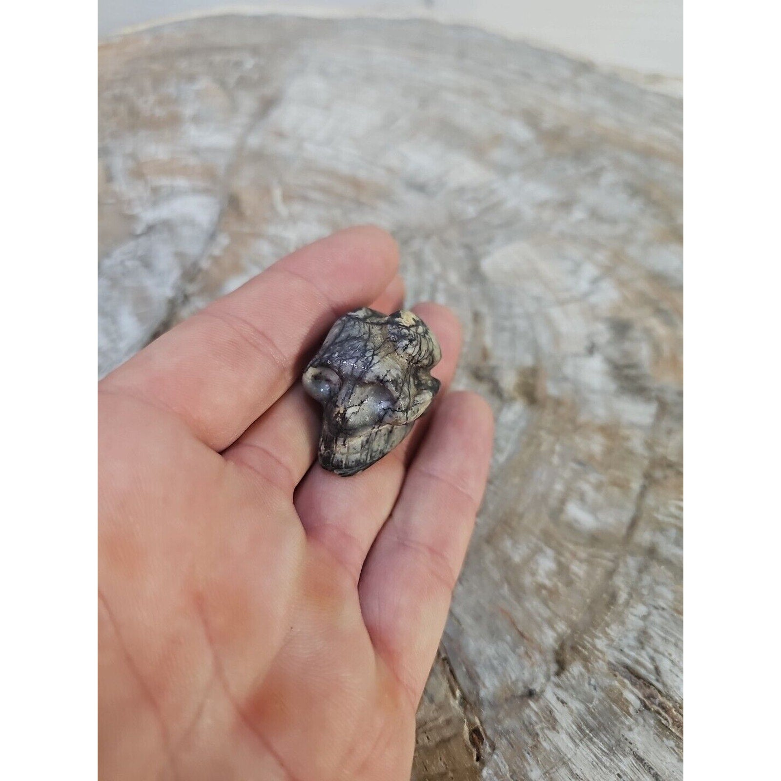 Natural Skull Lot of 5 Skulls: Spider Web Jaspers Fluorite Labrodite, Obsidian