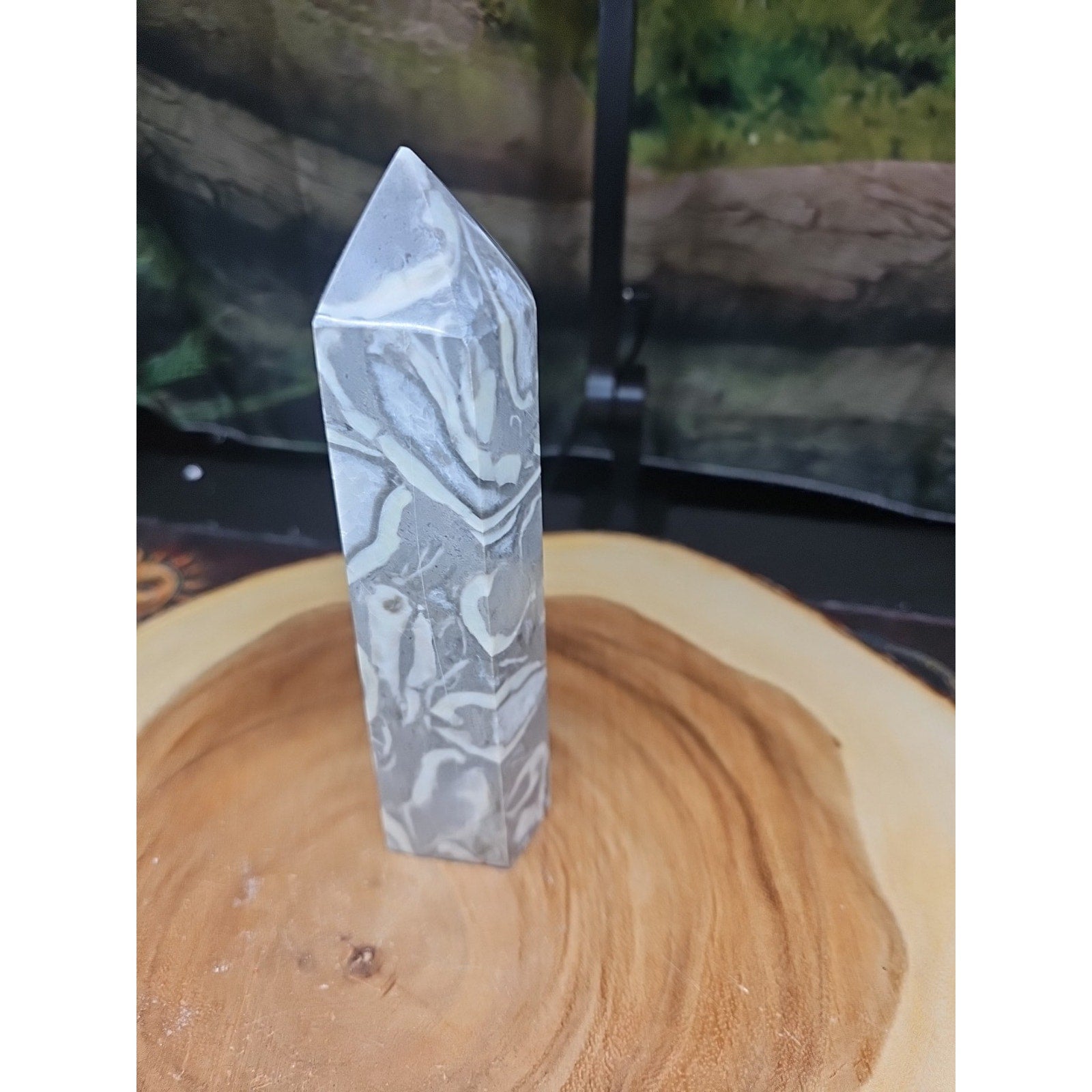 1000 Eye Jasper 1.76lb 7.5in Tall