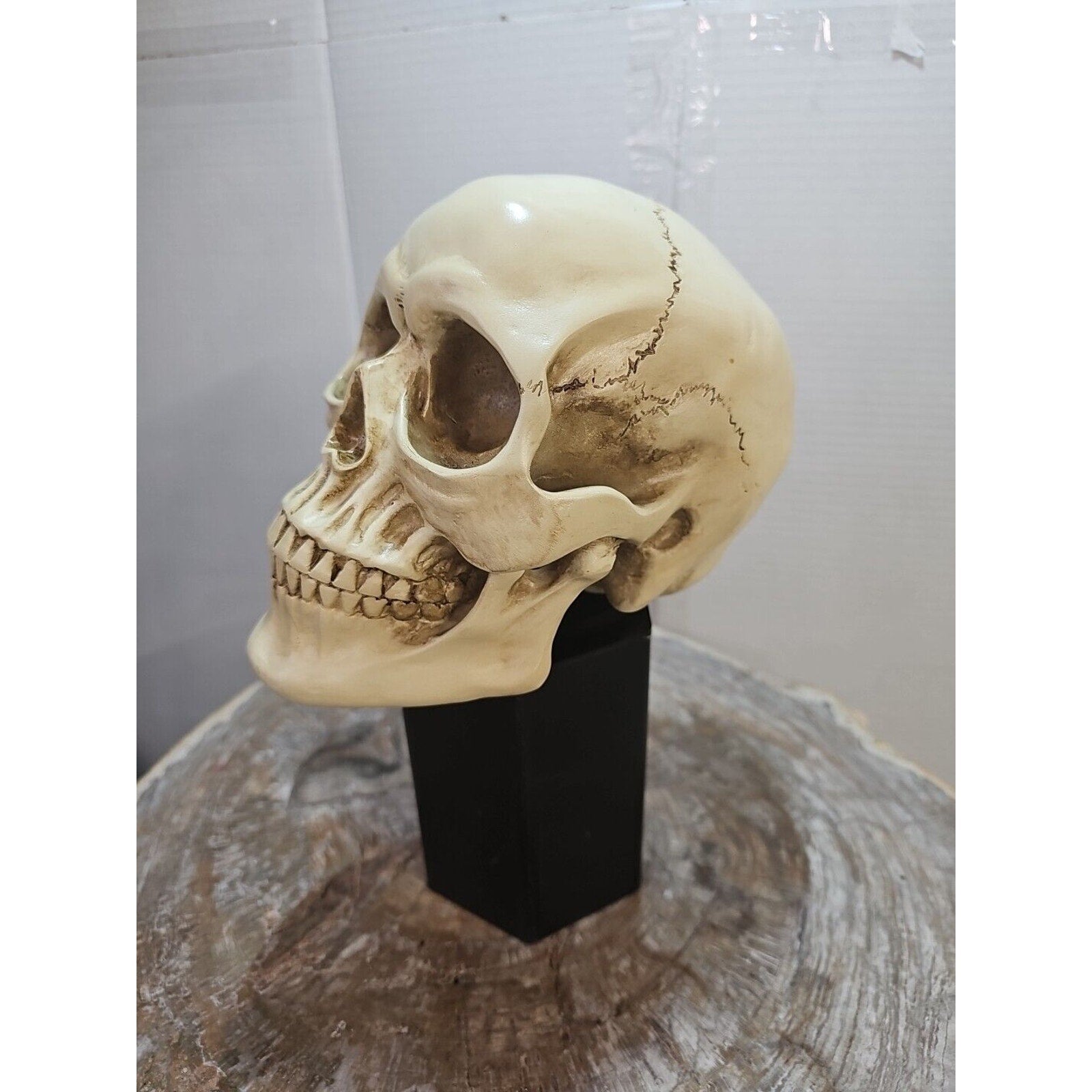 Realistic Human Skull Replica Decor Decoration Resin