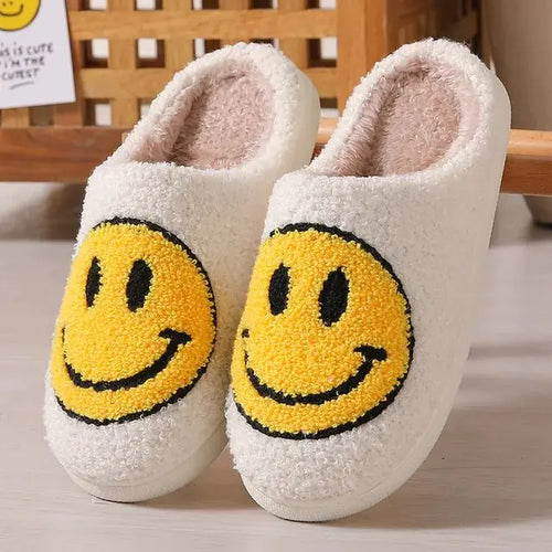 Load image into Gallery viewer, Funny Cute Winter Warm Floor House Home Shoes Female
