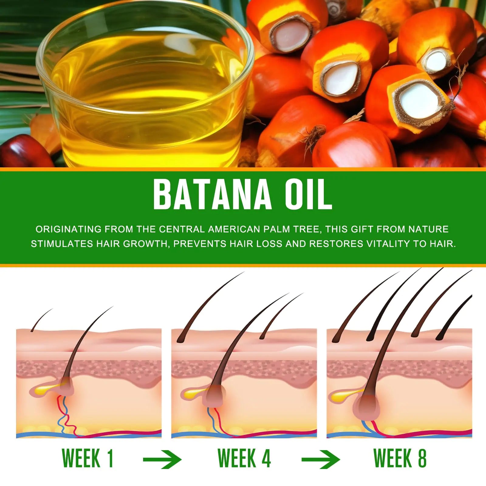 Batana Oil - 100% Pure & Natural from Honduras for Hair Growth, Eliminates Split Ends, Enhances Radiance & Nourishment for All Hair Types, 2.02 fl oz 2.02 Fl Oz (Pack of 1)