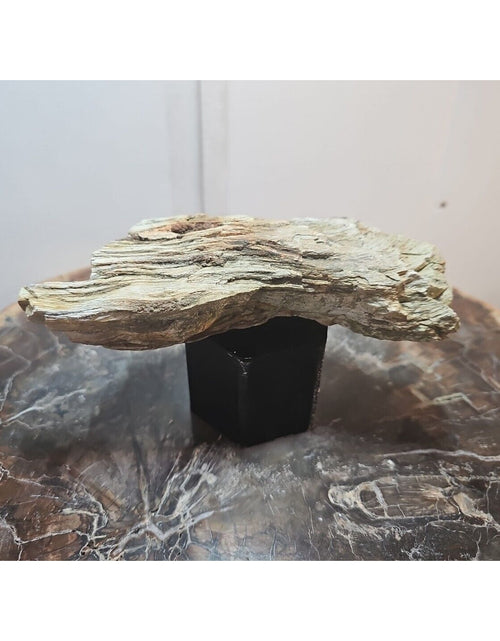 Load image into Gallery viewer, 1.06lbs Texas Petrified Wood Rough
