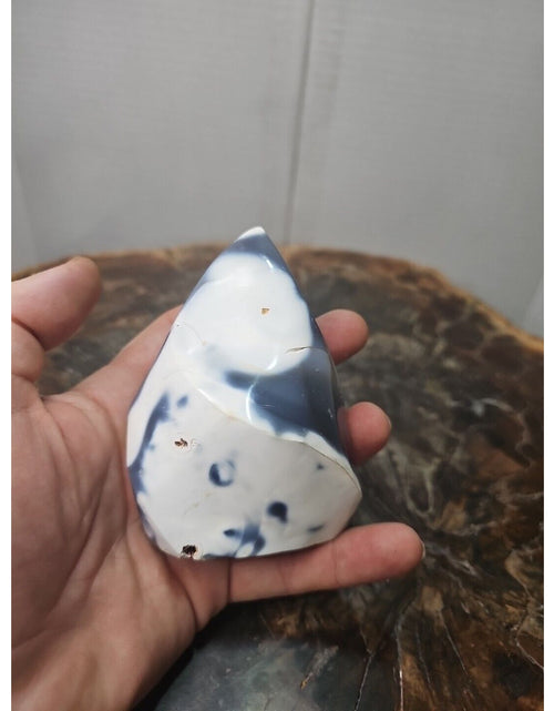 Load image into Gallery viewer, Jasper Ocean Whale Stone 332g
