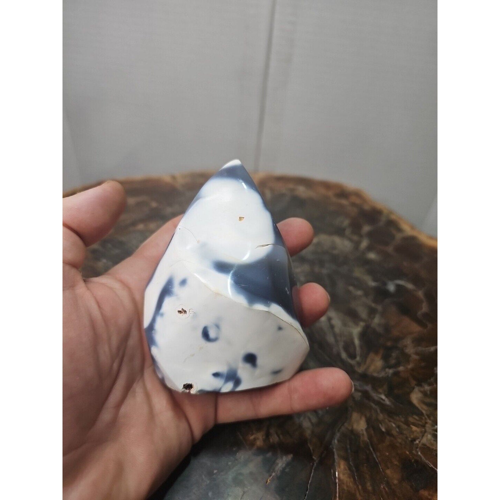 Jasper Ocean Whale Stone 332g