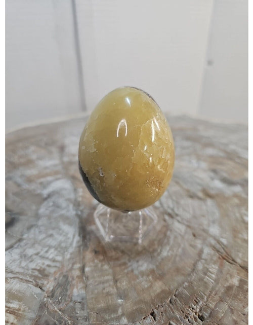 Load image into Gallery viewer, 9.0oz Natural Septarian Dragon quartz Crystal egg Mineral Specimen W/Stand
