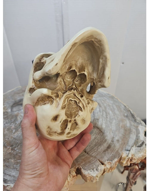 Load image into Gallery viewer, Realistic Human Skull Replica Decor Decoration Resin
