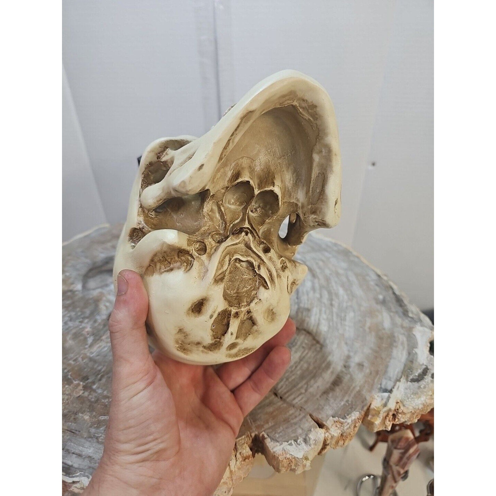 Realistic Human Skull Replica Decor Decoration Resin