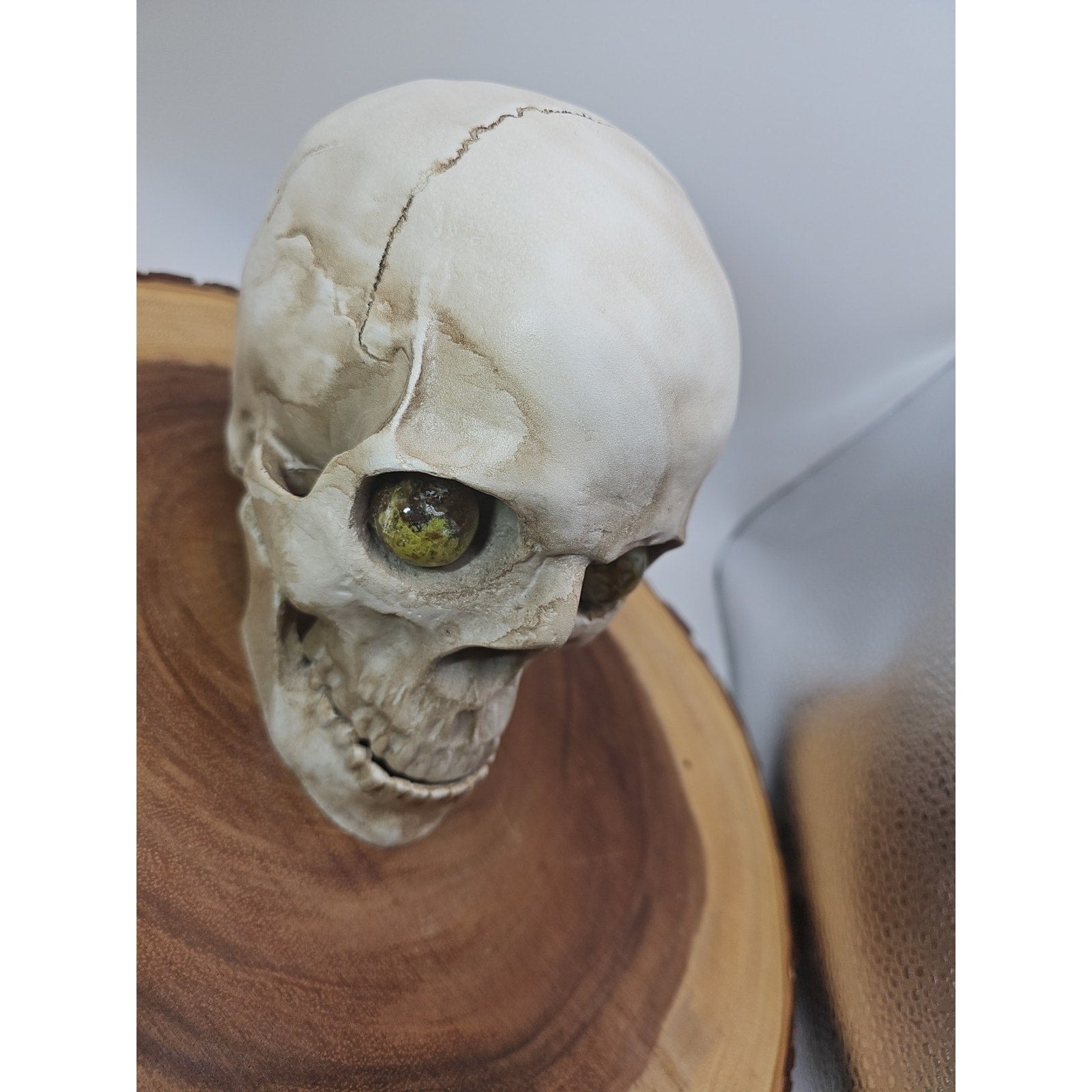 Resin Skull W/Ocean Jasper Quartz Eyes