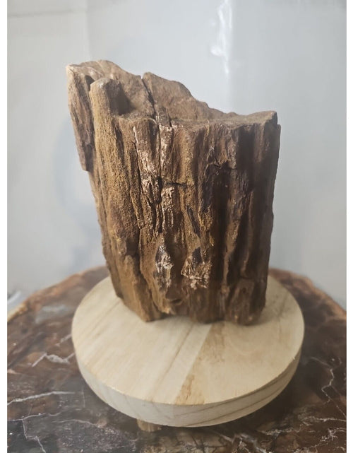 Load image into Gallery viewer, ❤️‍🔥Texas Petrified Wood! Raw Cool Details W/Stand Great Display
