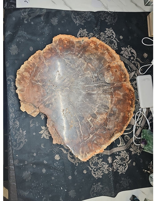 Load image into Gallery viewer, 27.3LB TOP Natural fossil wood Quartz carved Crystal mineral Specimen healing
