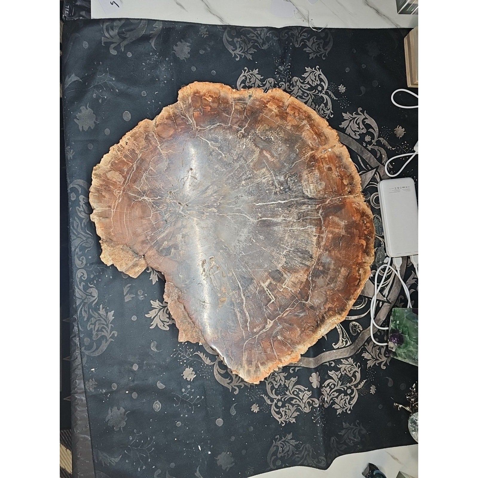 27.3LB TOP Natural fossil wood Quartz carved Crystal mineral Specimen healing