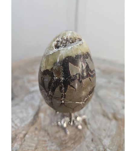 7.8oz Natural Septarian Dragon quartz Crystal egg Mineral Specimen W/Stand