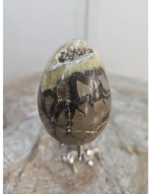 Load image into Gallery viewer, 7.8oz Natural Septarian Dragon quartz Crystal egg Mineral Specimen W/Stand
