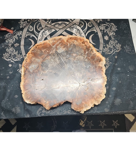 27.3LB TOP Natural fossil wood Quartz carved Crystal mineral Specimen healing